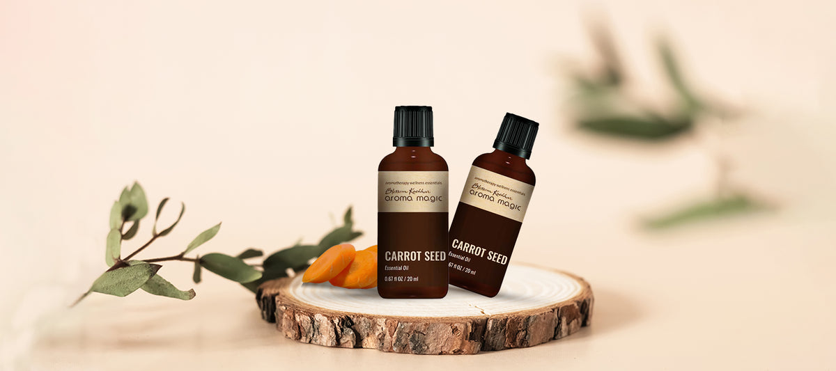 Skin & Health Benefits of Carrot Seed Essential Oil