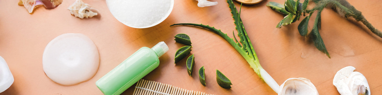 Aloe Vera & Tea Tree: Best Natural Ingredients for Winter Hair Cleansing